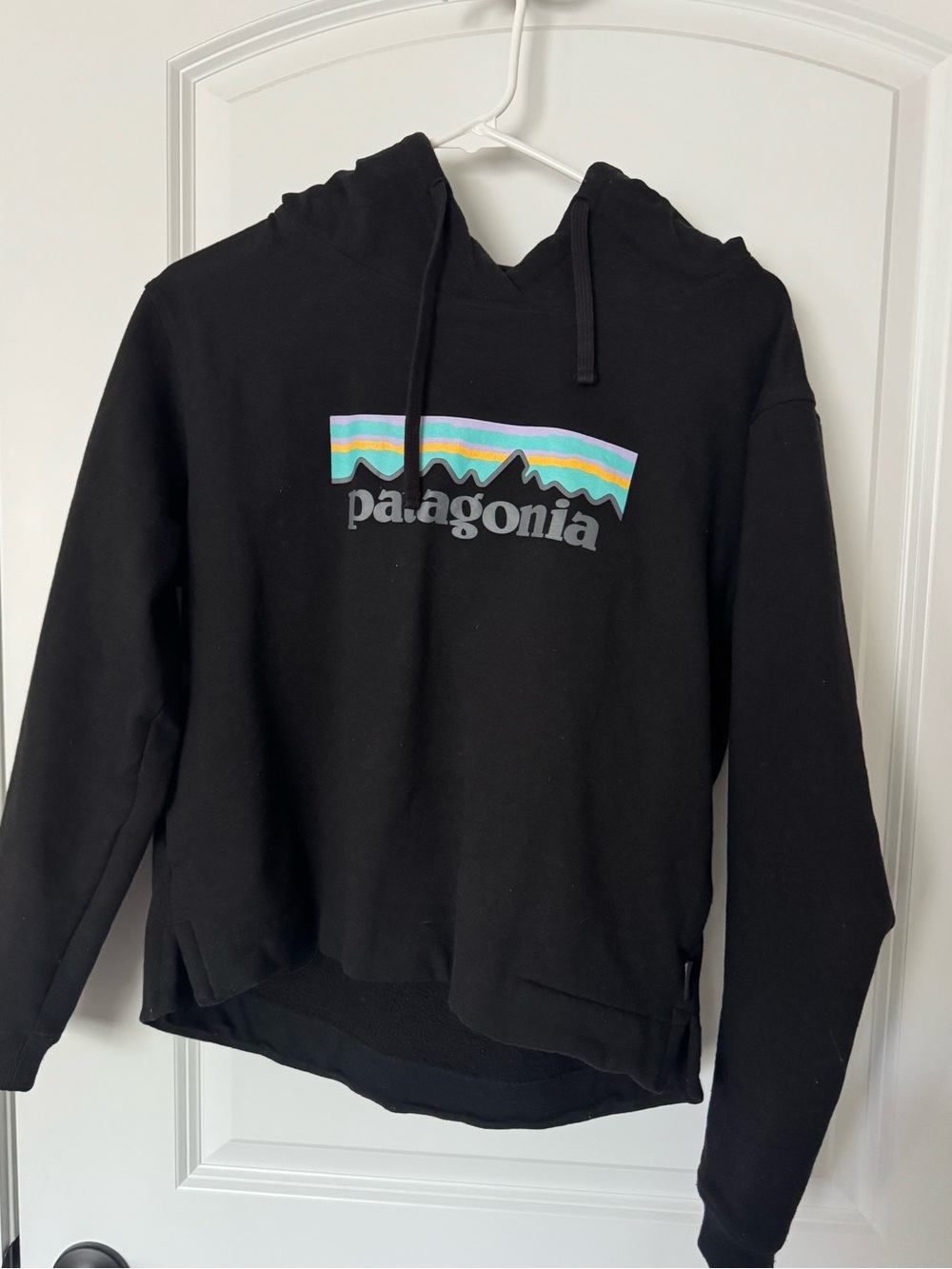 Patagonia Sweatshirt